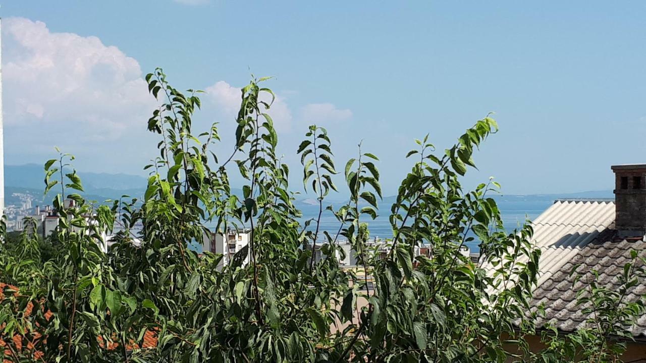 Apartment Jasmina Rijeka Dış mekan fotoğraf